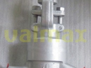 Forging Ball Valve, 600 LB