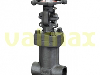 Globe Valve, 800 LB, 1-1/2 Inch, OS&Y, Handwheel Op