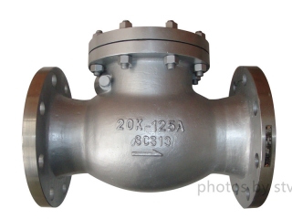 JIS20K Swing Check Valve,SCS13 Body,DN125,Flange End