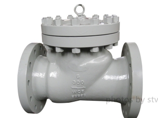 A216 WCB Swing Check Valve, 6 Inch, 300 LB, RF