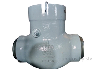 1500LB Swing Check Valve, 3 Inch,PSB, WCB, RTJ End