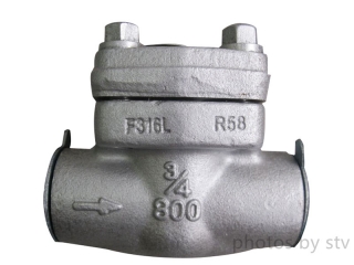 ASTM F316L Piston Check Valve, 800LB, DN25,SW End