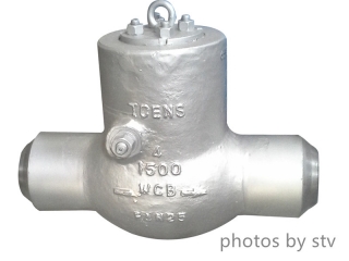 Pressure Seal Swing Check Valve, A216 WCB, 4 Inch, 1500LB, Trim 8#