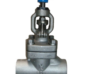 ASTM A182 F316L Globe Valve, 800 LB, 1 Inch, SW