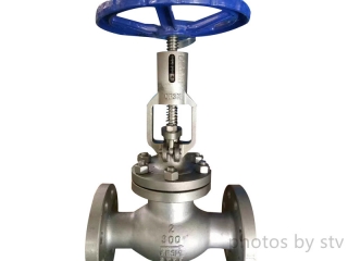 Ansi 316L Globe Valve with Position Indicator,2 Inch,300LB,RF