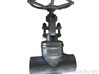 Weld Bonnet Globe Valve, A105N, API 602, 1500 LB, 2 Inch