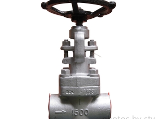 A182 F22 Gate Valve, API 602, 1 Inch, Class 1500, NPT End